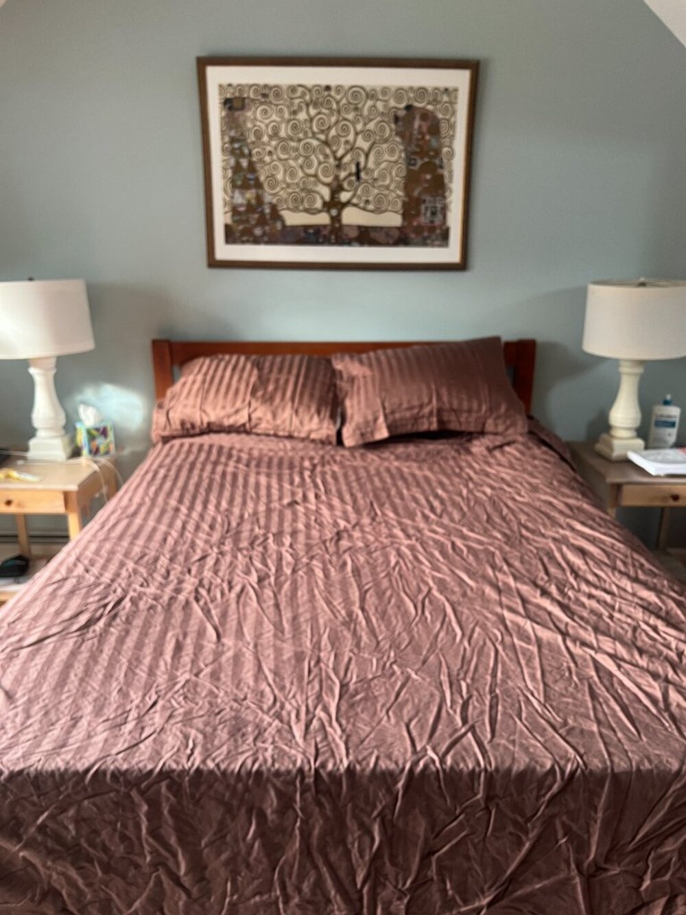 Wamsutta 100% Cotton Sateen Duvet Cover & Shams, Queen